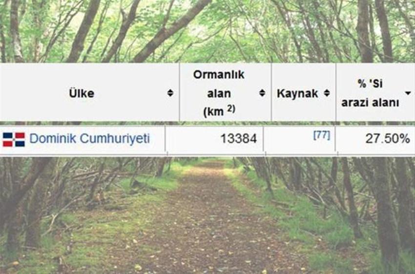 En çok ağaç hangi ülkede?