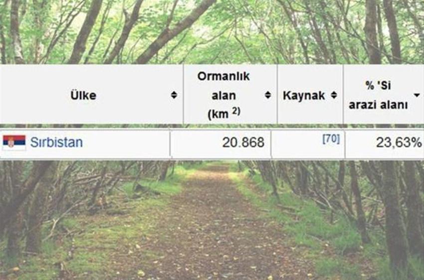 En çok ağaç hangi ülkede?