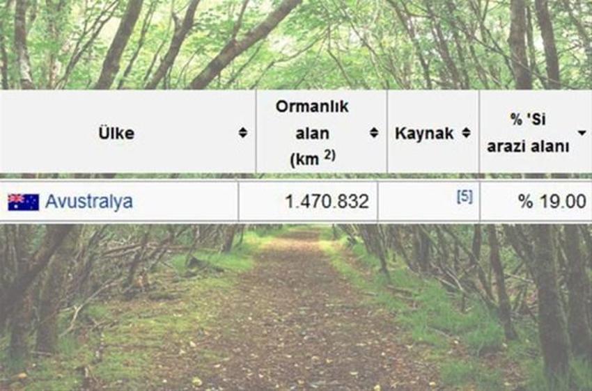 En çok ağaç hangi ülkede?