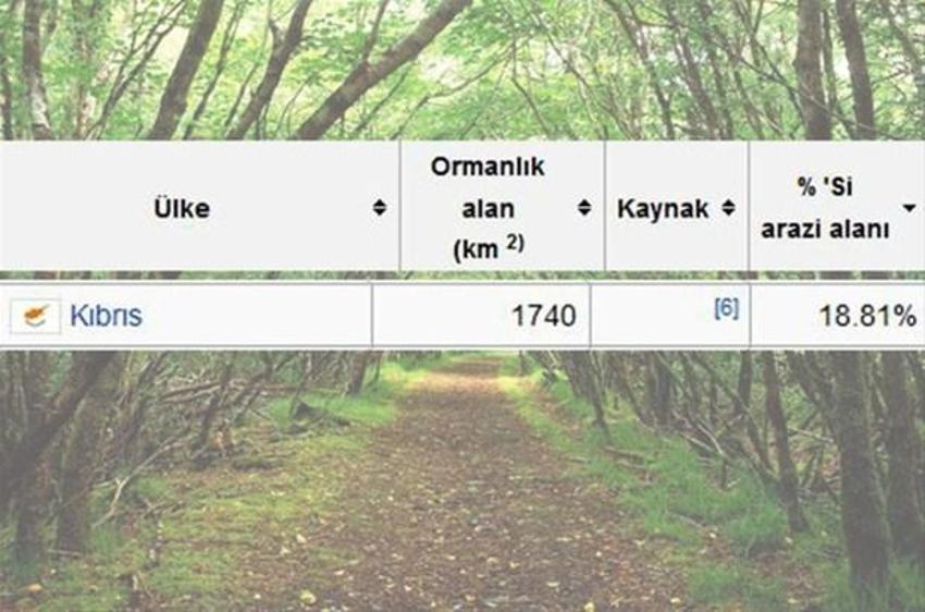 En çok ağaç hangi ülkede?