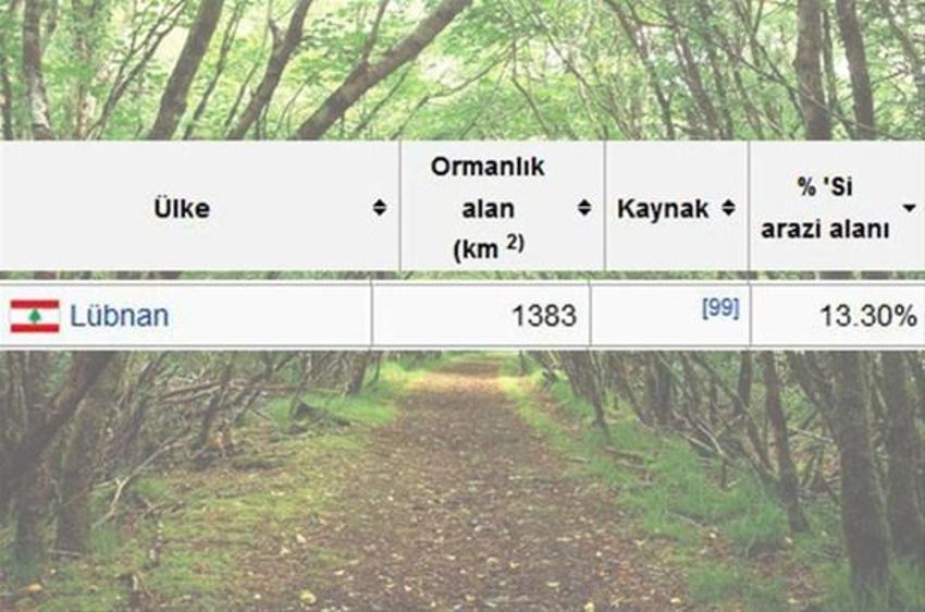 En çok ağaç hangi ülkede?