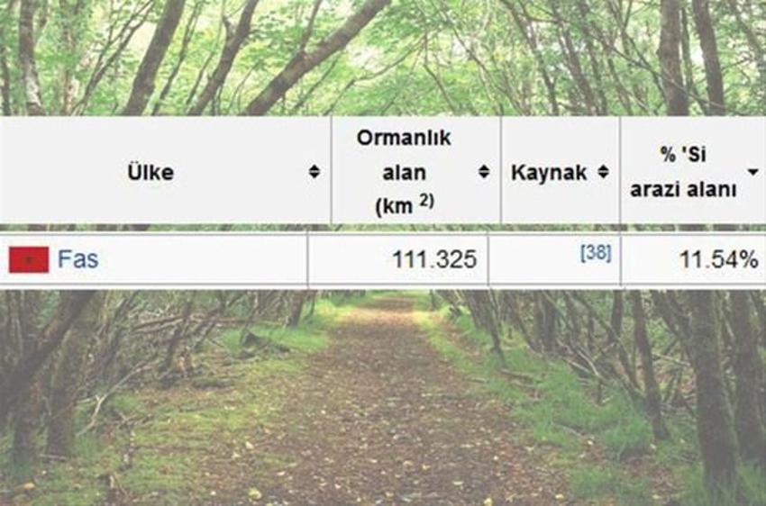 En çok ağaç hangi ülkede?
