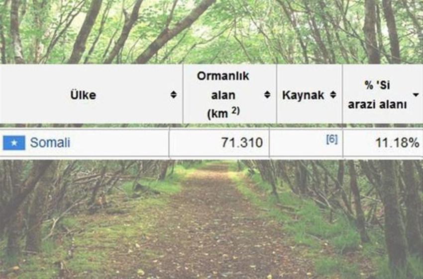 En çok ağaç hangi ülkede?