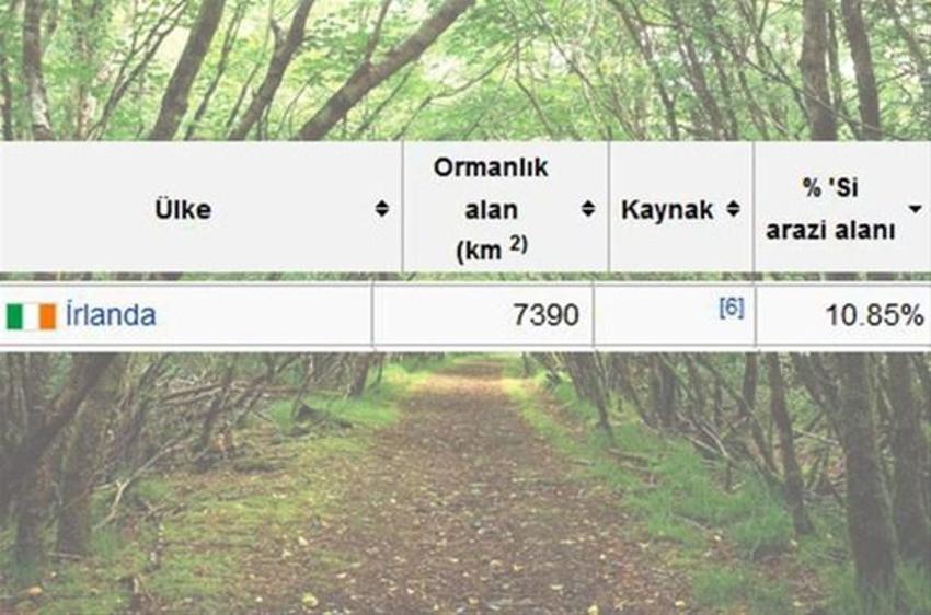 En çok ağaç hangi ülkede?