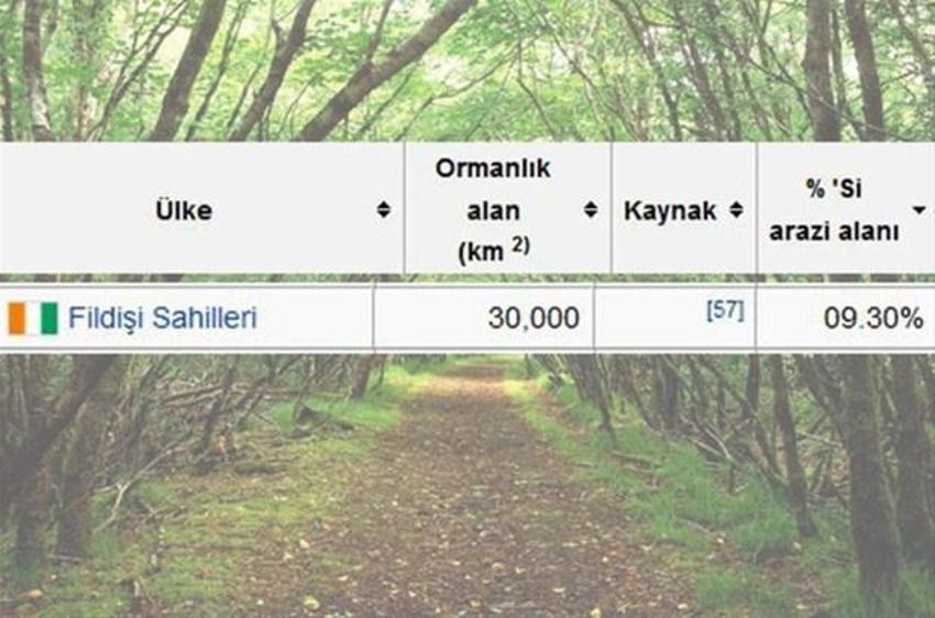 En çok ağaç hangi ülkede?