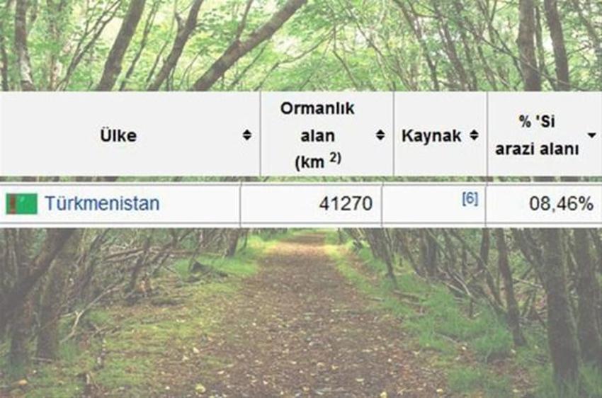 En çok ağaç hangi ülkede?