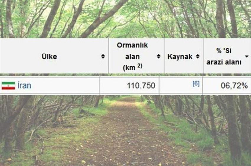 En çok ağaç hangi ülkede?