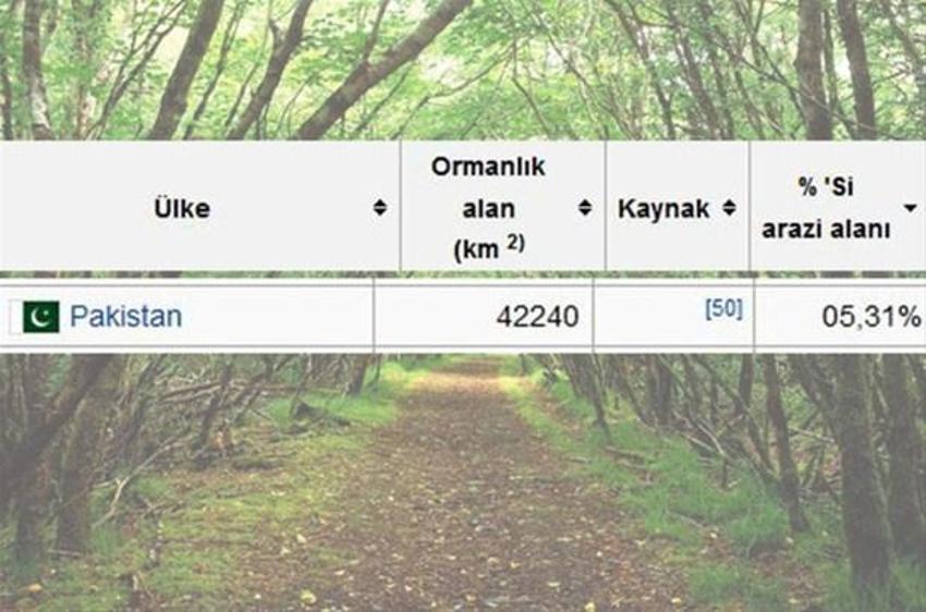 En çok ağaç hangi ülkede?