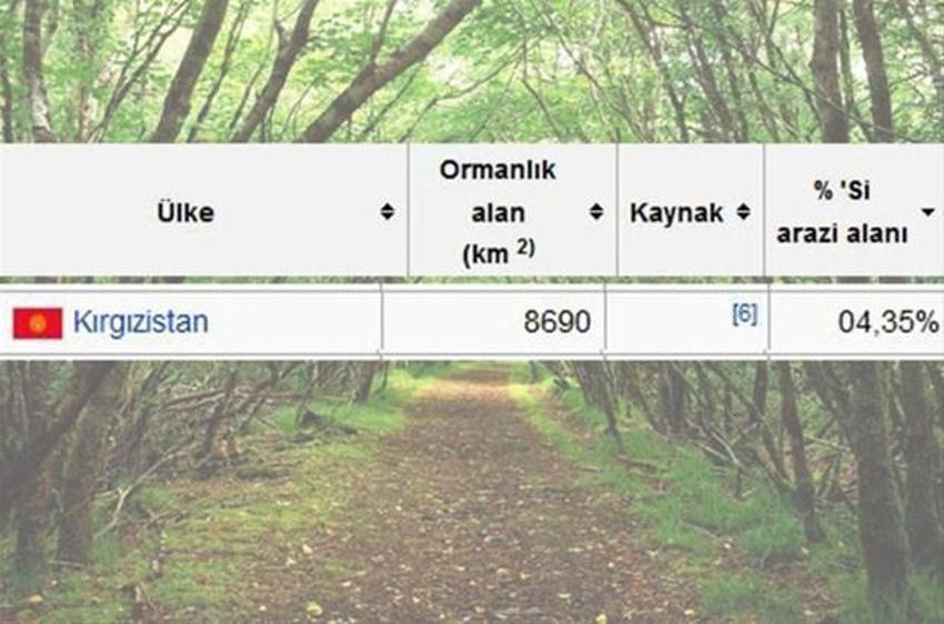 En çok ağaç hangi ülkede?