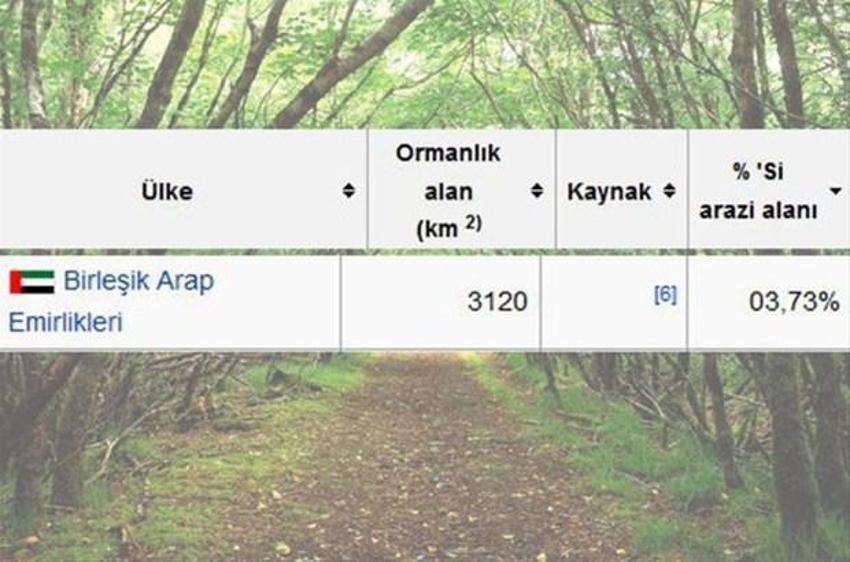 En çok ağaç hangi ülkede?