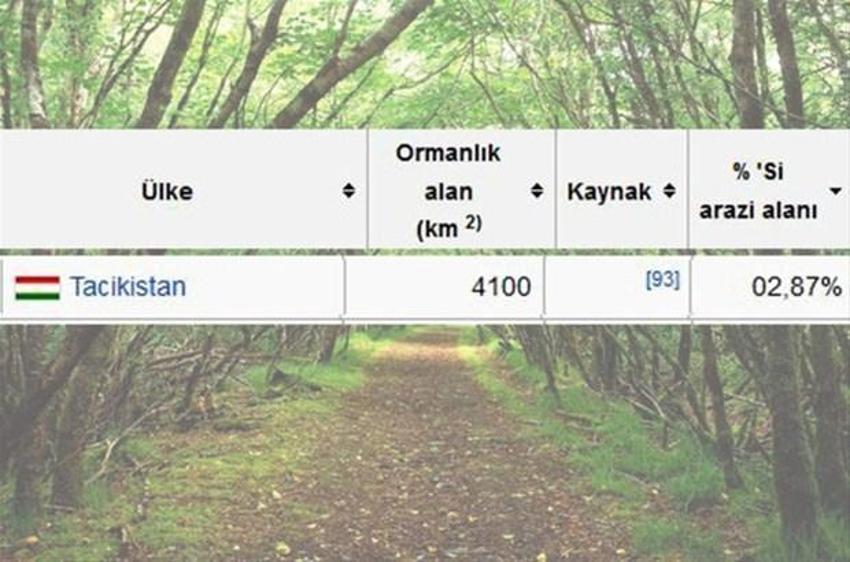 En çok ağaç hangi ülkede?