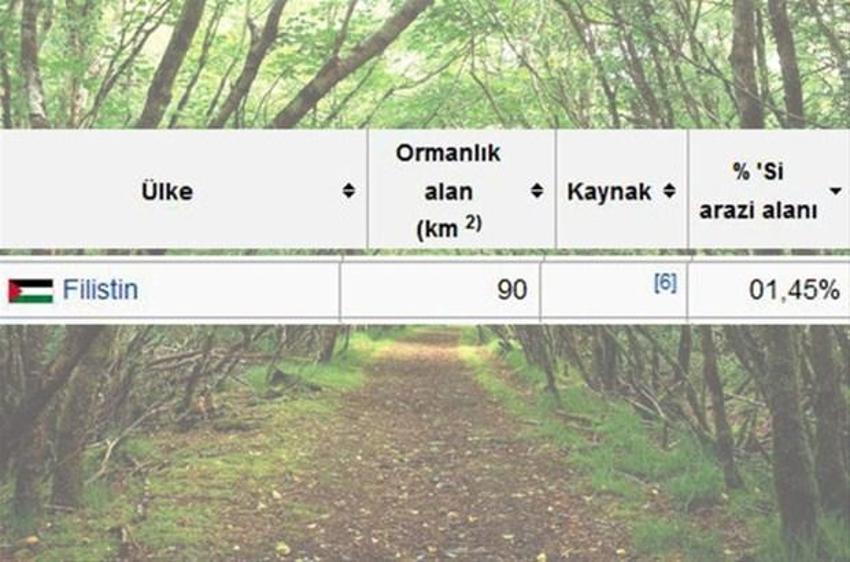 En çok ağaç hangi ülkede?