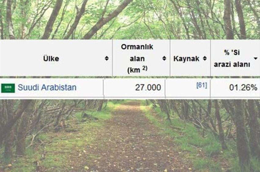 En çok ağaç hangi ülkede?
