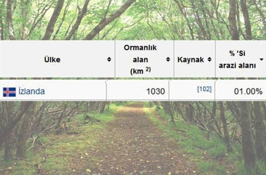 En çok ağaç hangi ülkede?