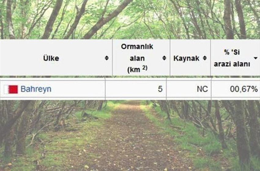 En çok ağaç hangi ülkede?