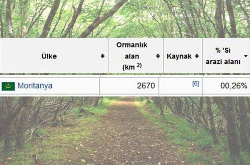 En çok ağaç hangi ülkede?