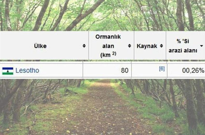 En çok ağaç hangi ülkede?