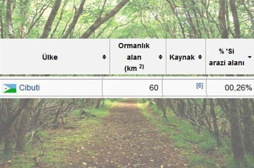 En çok ağaç hangi ülkede?