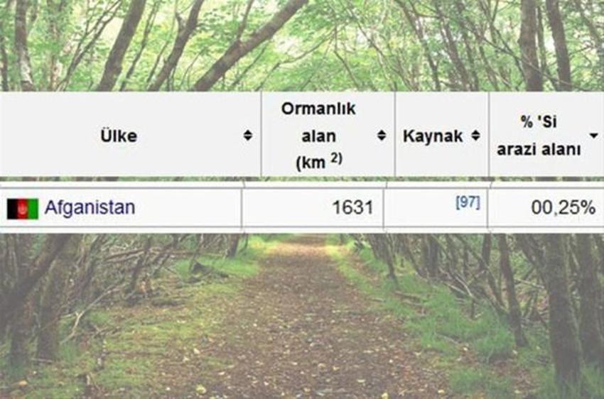 En çok ağaç hangi ülkede?