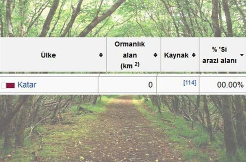 En çok ağaç hangi ülkede?