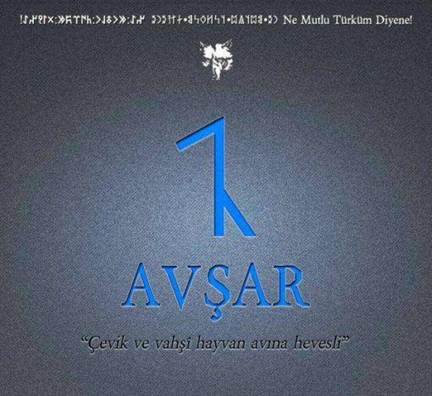 Türkler'in soy ağacı