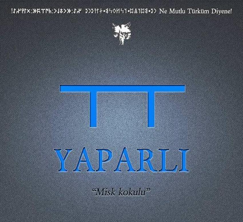 Türkler'in soy ağacı