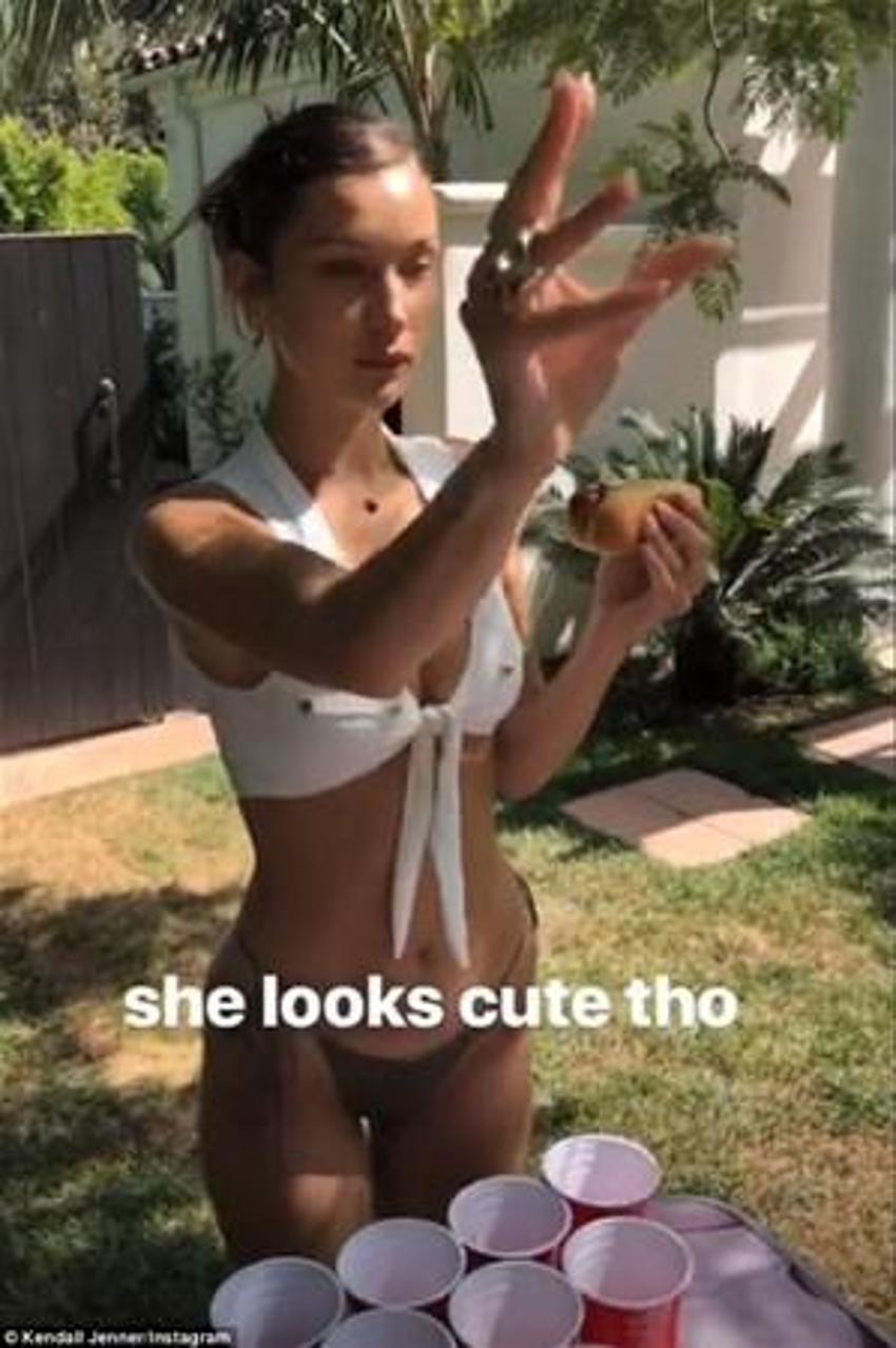 Bella Hadid
