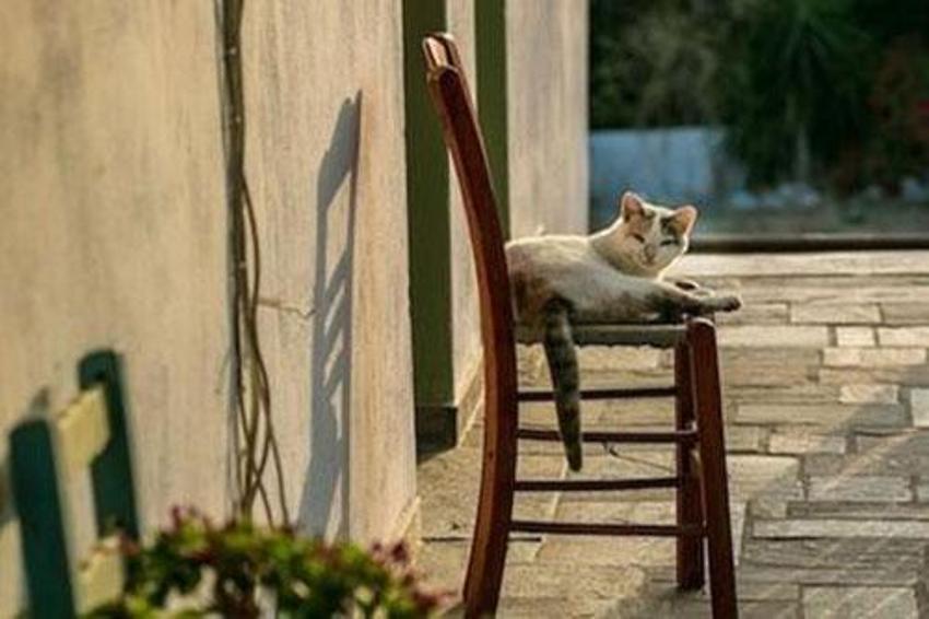 İnsanların ölmeyi unuttuğu yer: İkaria adası