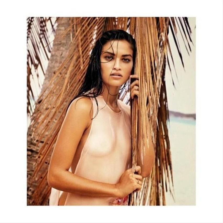 Shanina Shaik