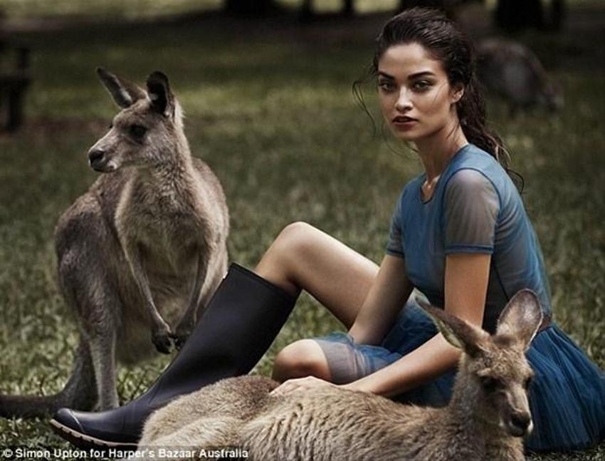 Shanina Shaik