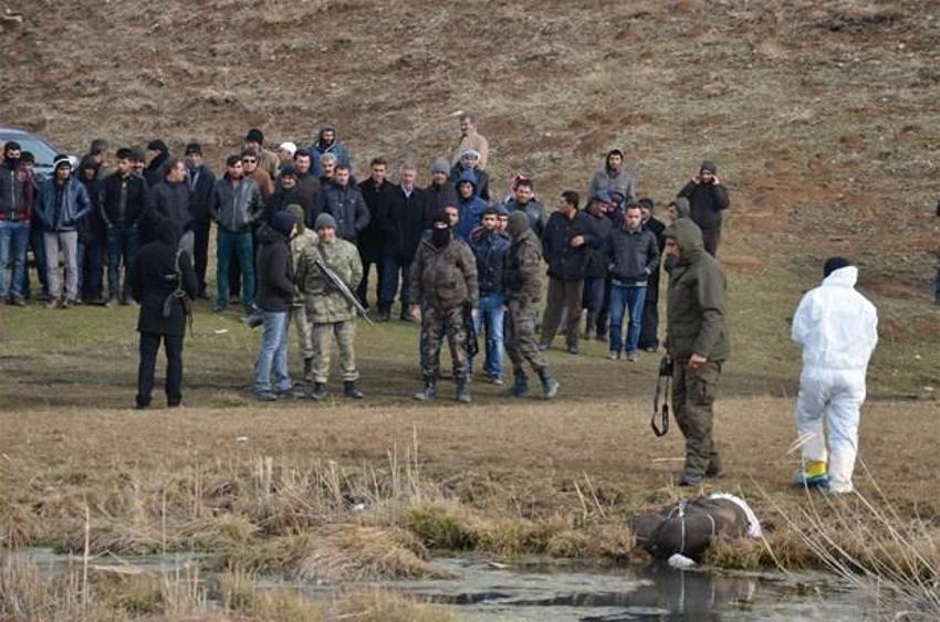 Yükseova'da kan donduran cinayet