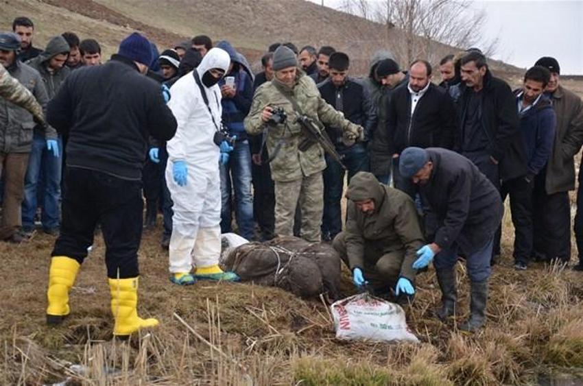Yükseova'da kan donduran cinayet