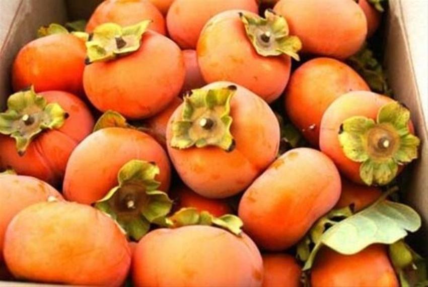 Hurmanın faydaları saymakla bitmiyor