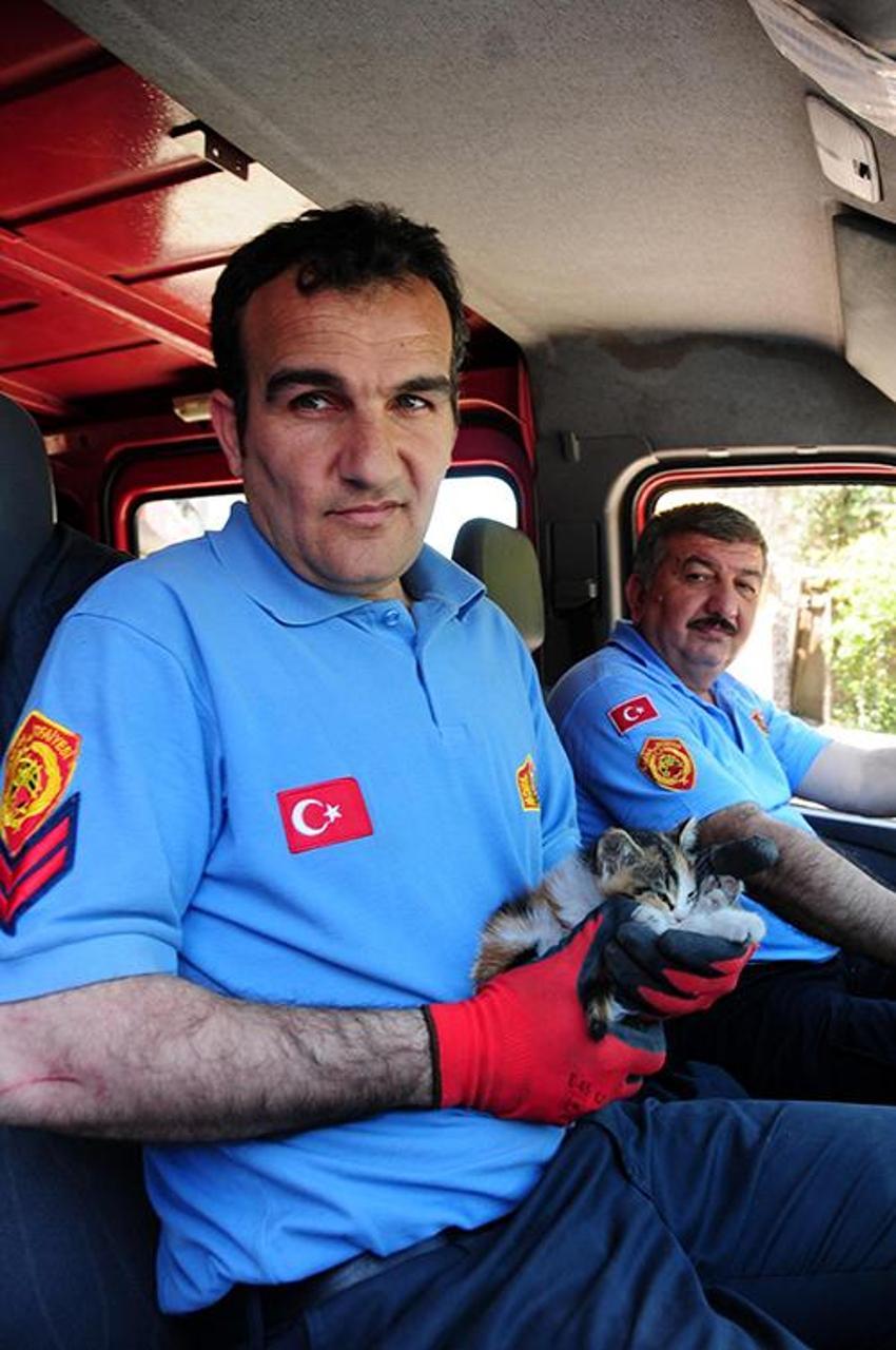 Böyle kedi kurtarma operasyonu görülmedi