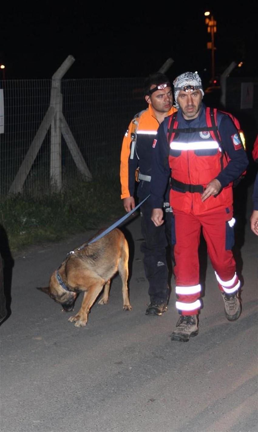 İstanbul Pamir Dikdik´i arıyor