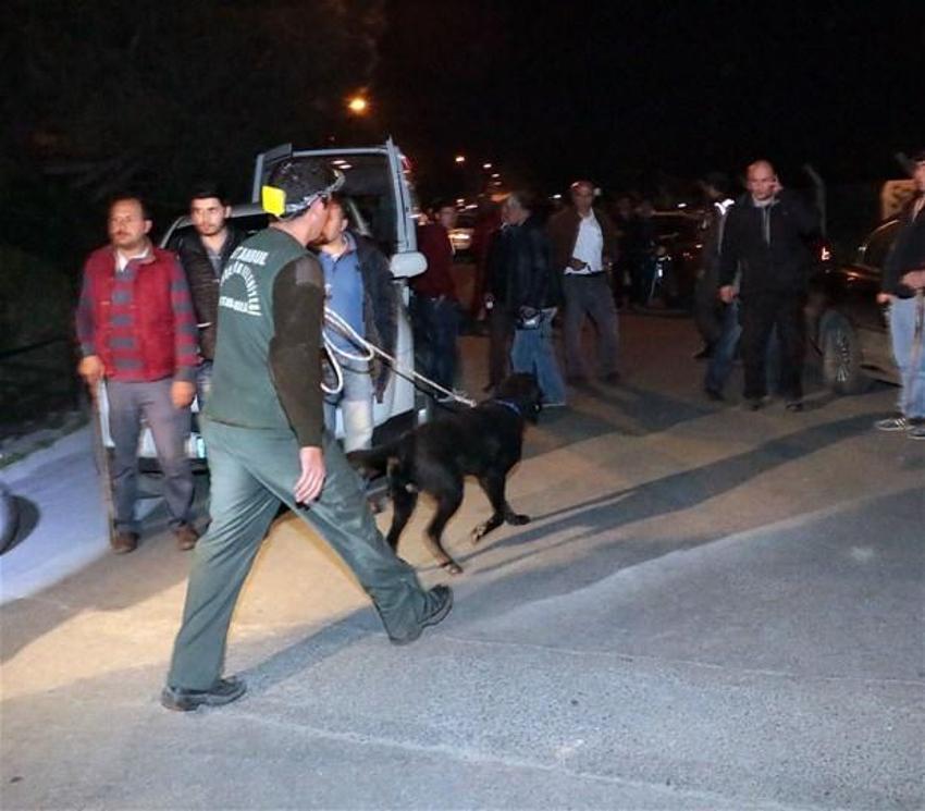 İstanbul Pamir Dikdik´i arıyor