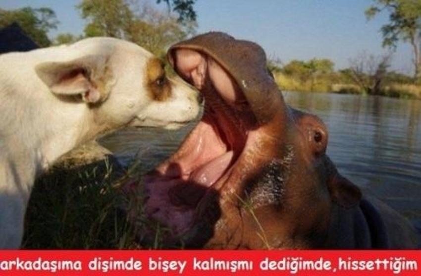 Gülme garantili ´caps´ler