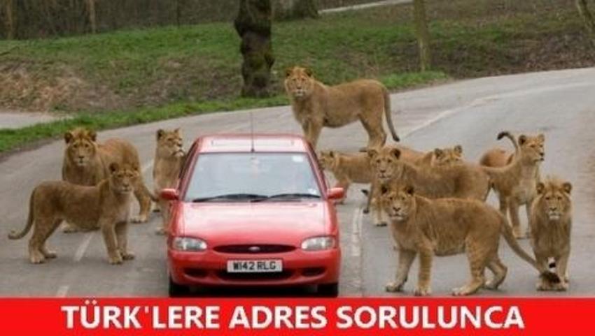 Gülme garantili ´caps´ler