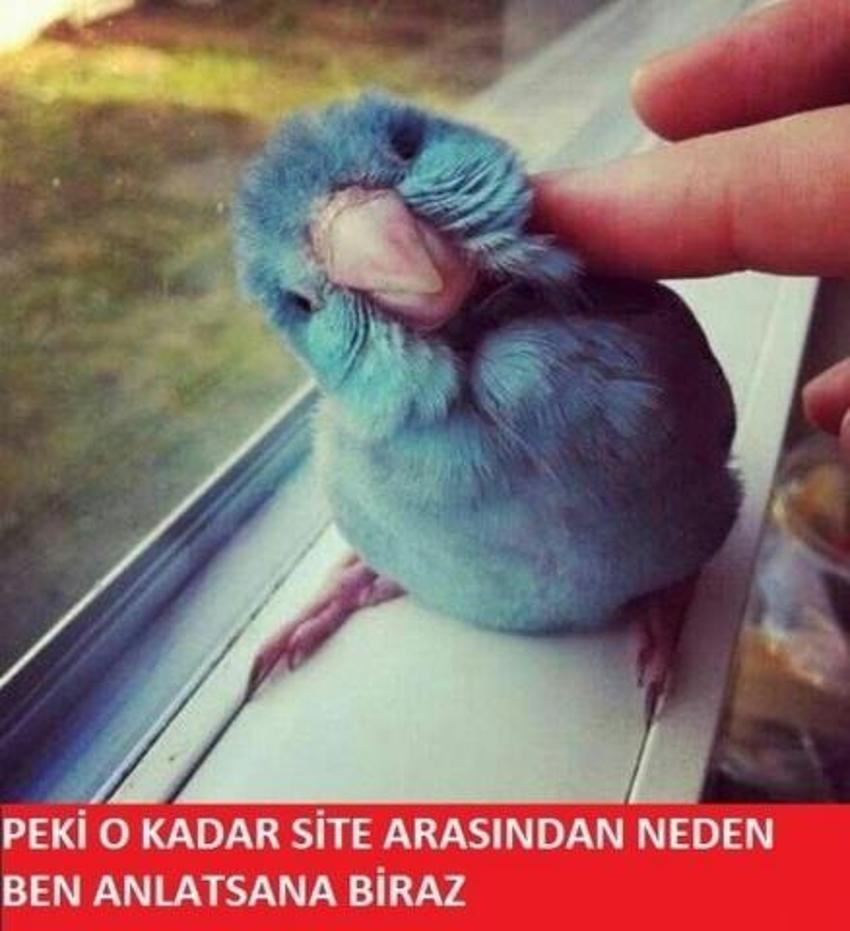 Gülme garantili ´caps´ler