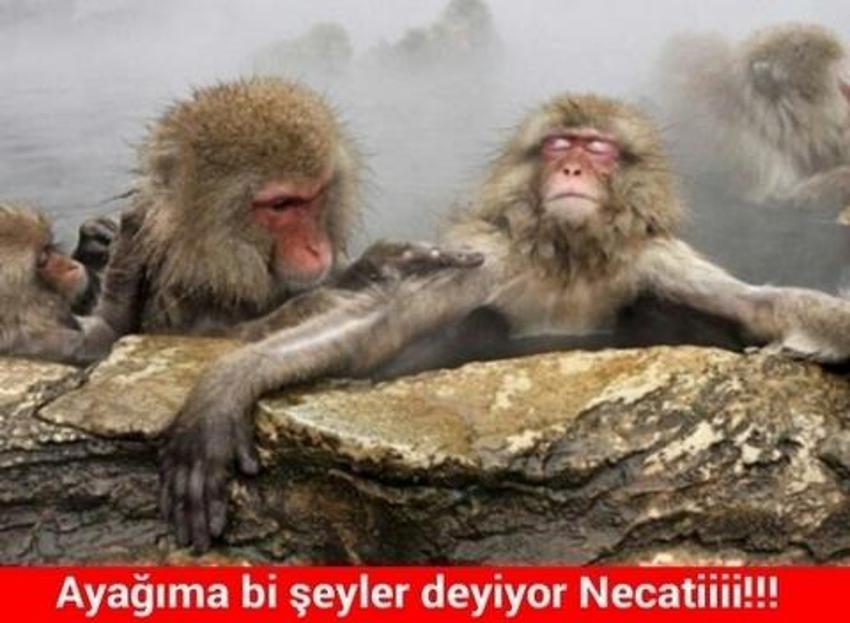 Gülme garantili ´caps´ler