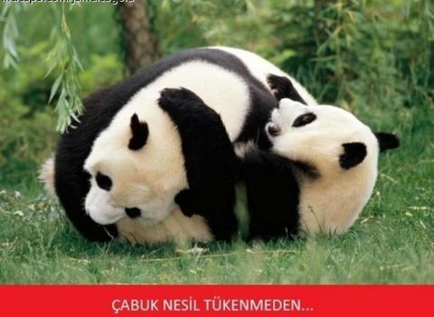 Gülme garantili ´caps´ler