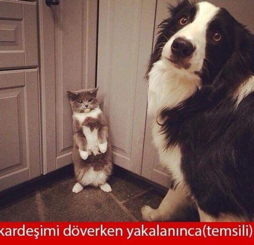 Gülme garantili ´caps´ler