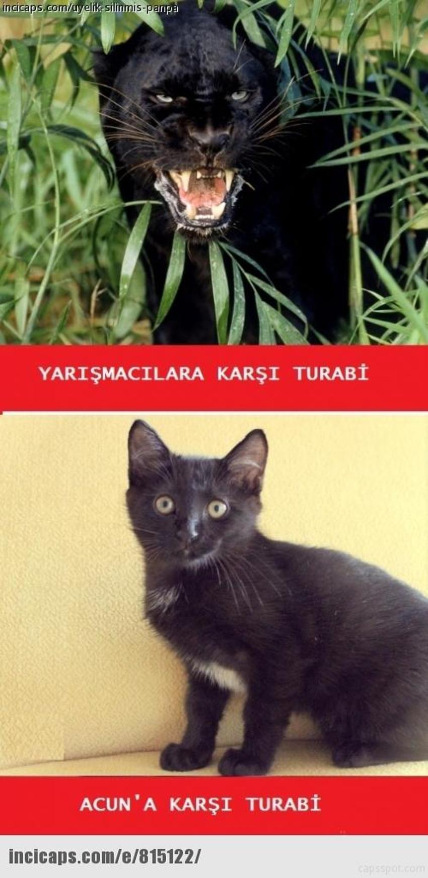Gülme garantili ´caps´ler