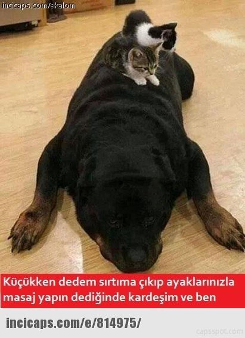 Gülme garantili ´caps´ler