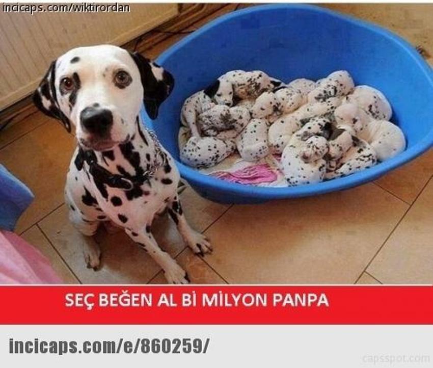 Gülme garantili ´caps´ler