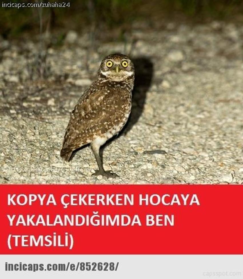 Gülme garantili ´caps´ler