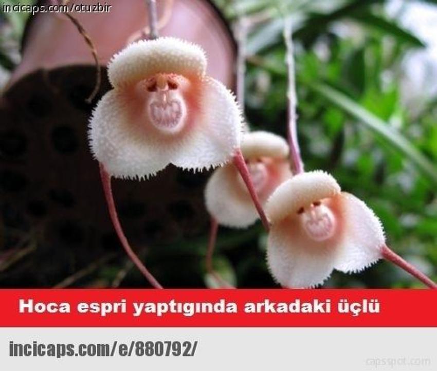 Gülme garantili ´caps´ler