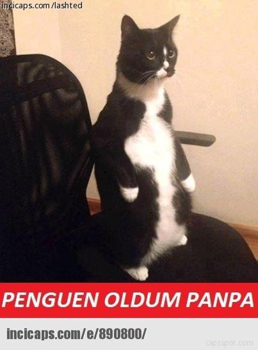 Gülme garantili ´caps´ler