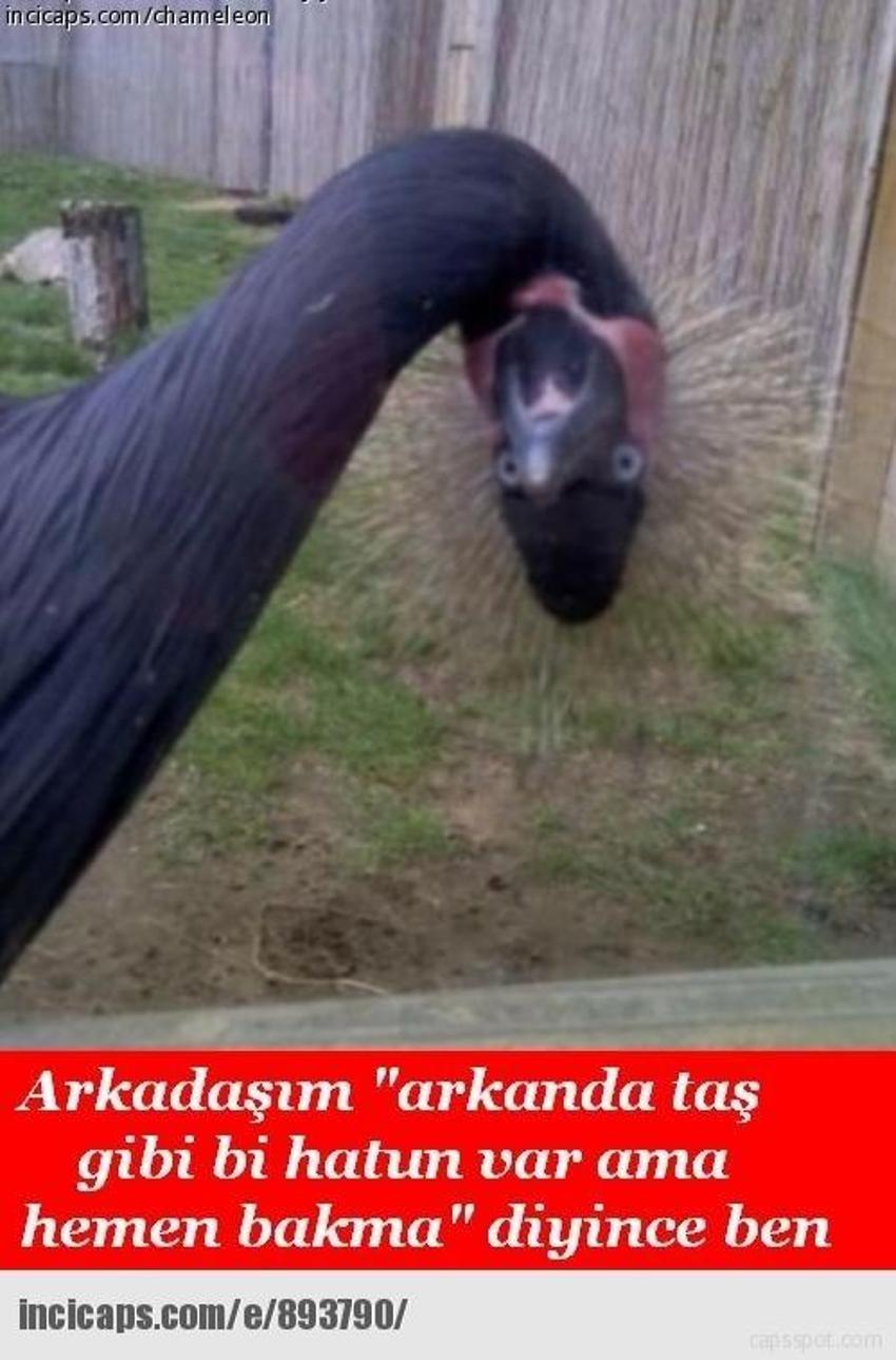 Gülme garantili ´caps´ler