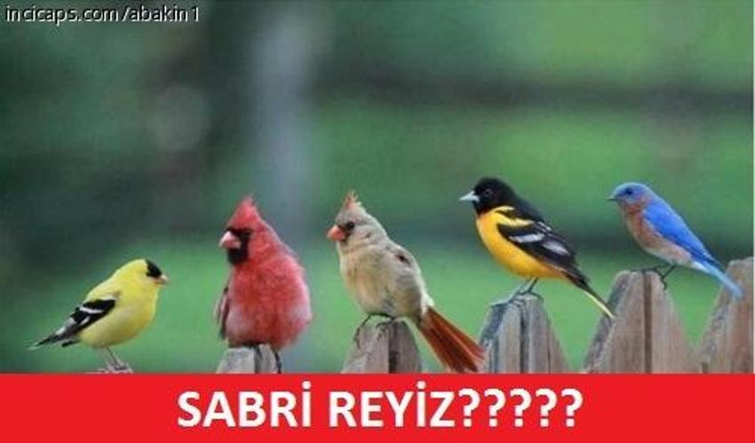 Gülme garantili ´caps´ler